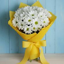 Букет цветов из:  Хризантемы в Нижнее Казанище