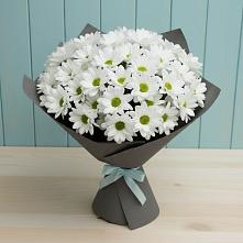 Букет цветов из:  Хризантемы #REPLACE_PRED# Нижнее Казанище