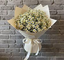 Букет цветов из:  Ромашки #REPLACE_PRED# Нижнее Казанище