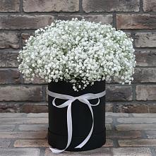 Цветочная композиция из Гипсофила в шляпной коробке в Нижнее Казанище