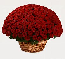 Премиум букет из: Розы в Нижнее Казанище